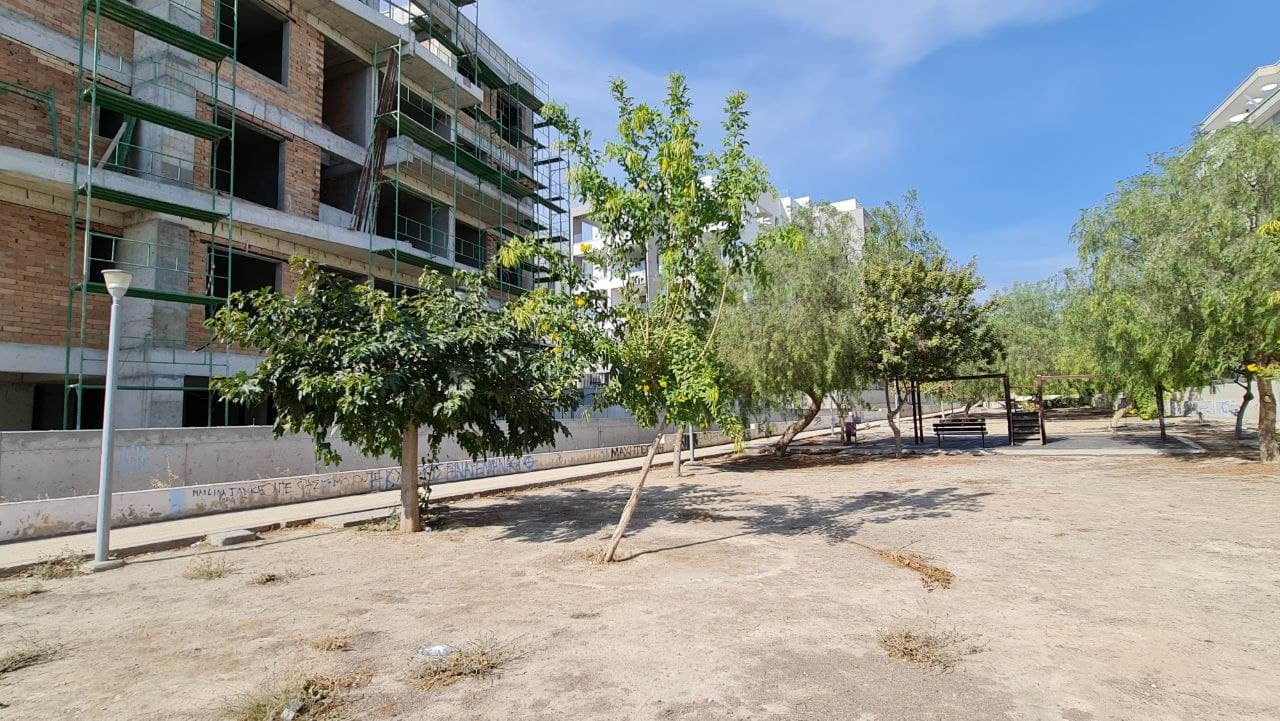 Palm Residence 2
