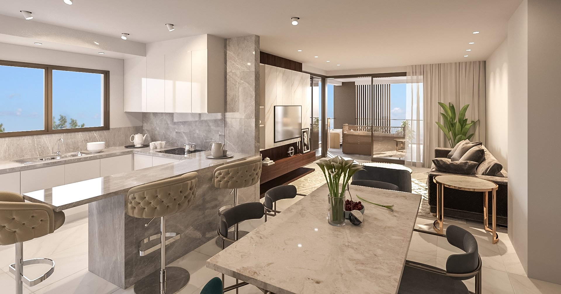 Premier Downtown Residences