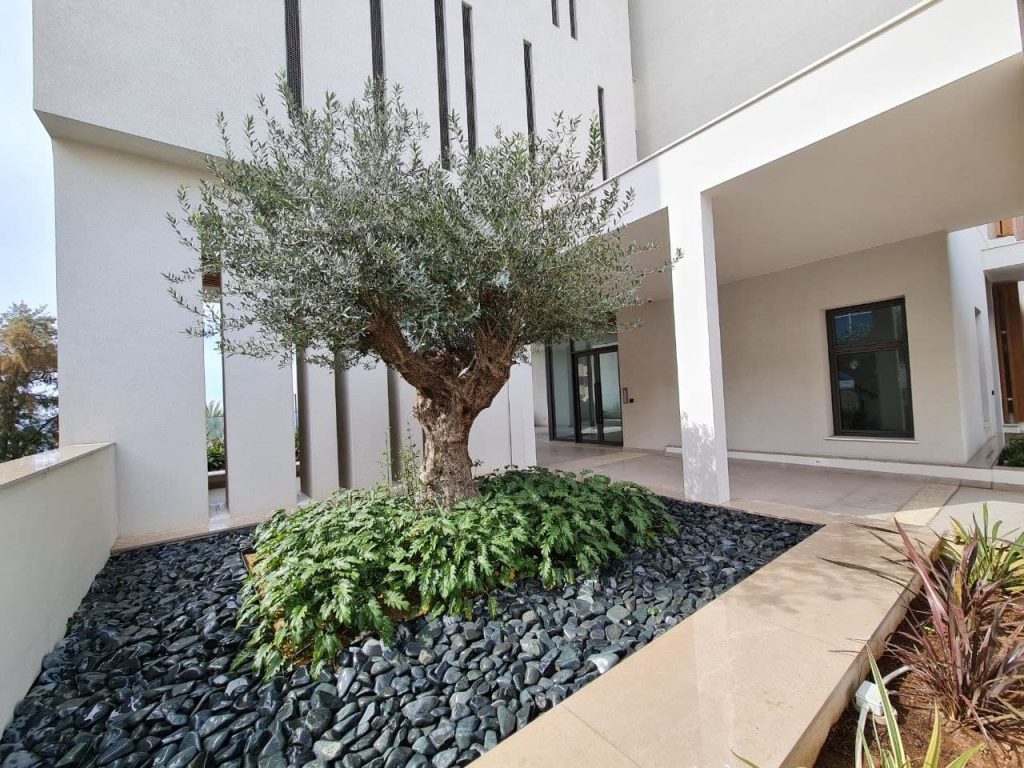 The Mediterranean Residences