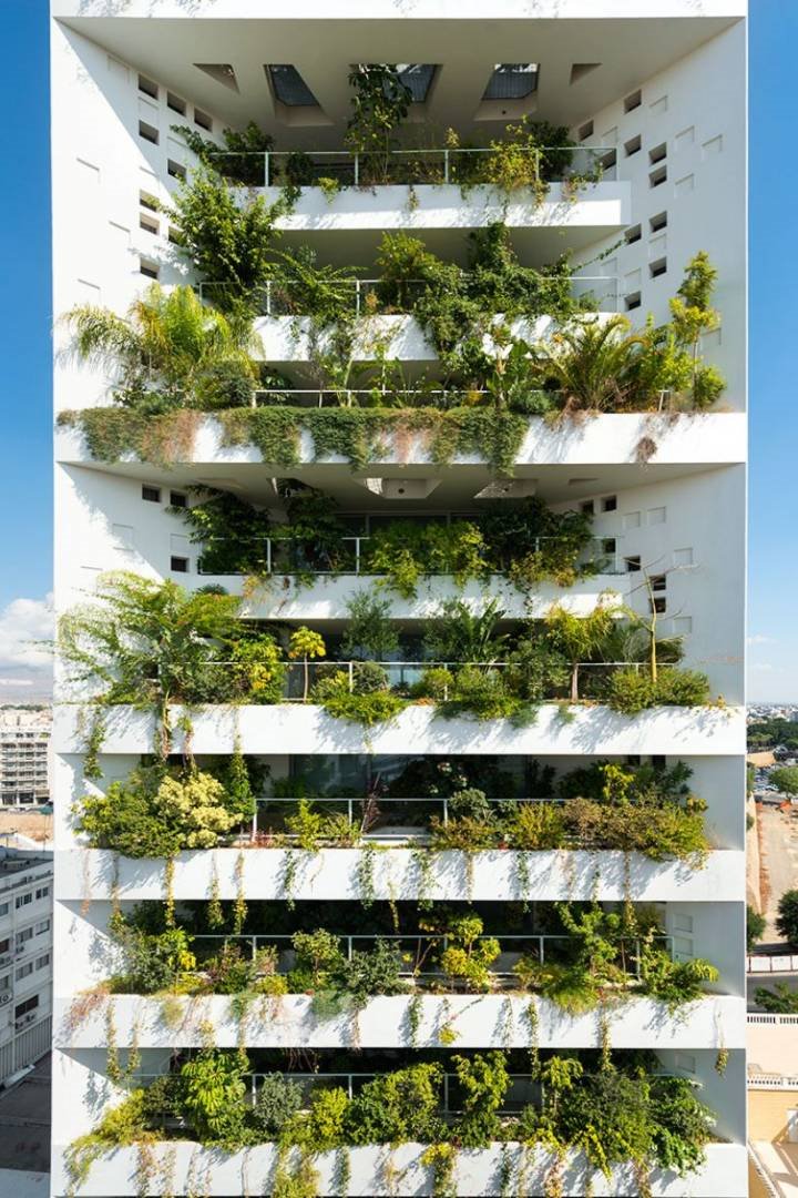 The White Walls (The Tower 25)