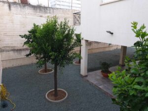 3 Bedroom House for Sale in Aglantzia, Nicosia District