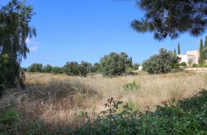 2,869m² Residential Plot for Sale in Aphrodite Hills, Paphos District