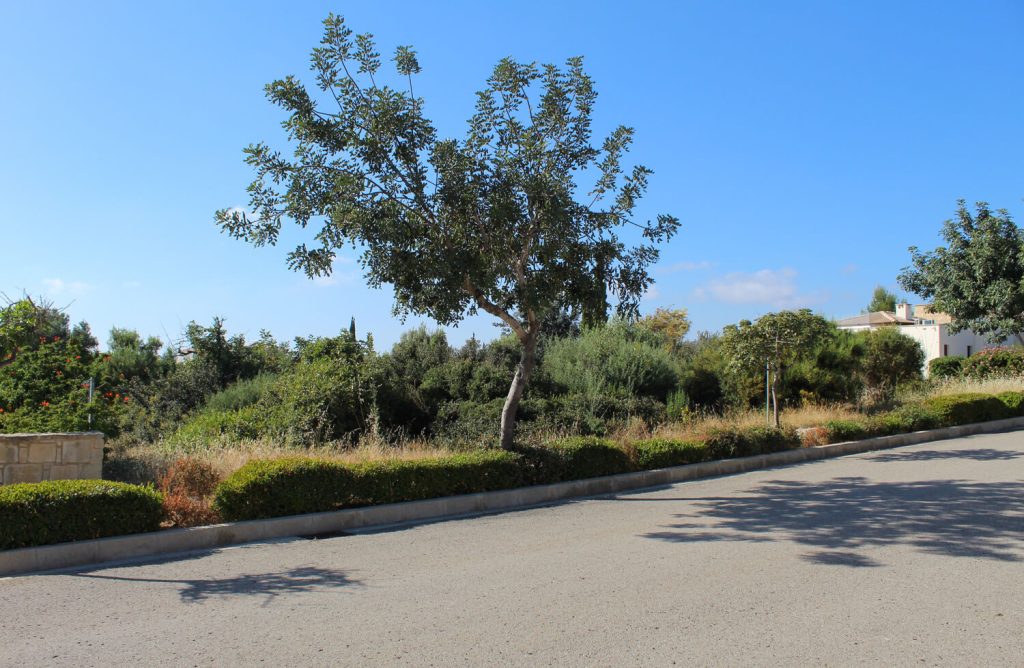 1,315m² Residential Plot for Sale in Aphrodite Hills, Paphos District