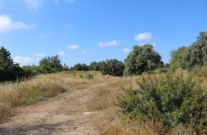 2,869m² Residential Plot for Sale in Aphrodite Hills, Paphos District