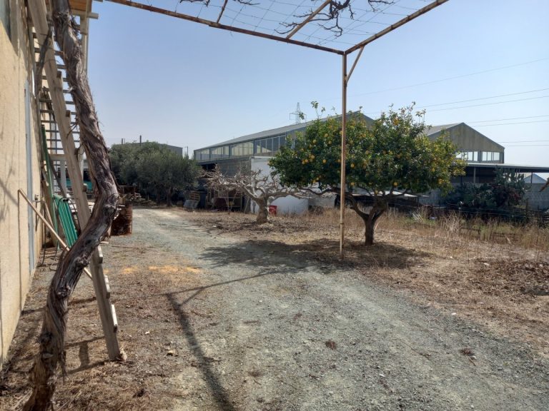 800m² Warehouse for Rent in Ypsonas, Limassol District