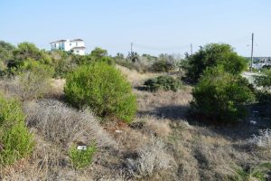 583m² Land for Sale in Alethriko, Larnaca District