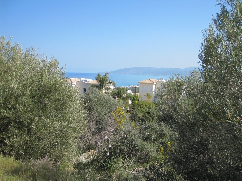 12,291m² Residential Plot for Sale in Neo Chorio Pafou, Paphos District
