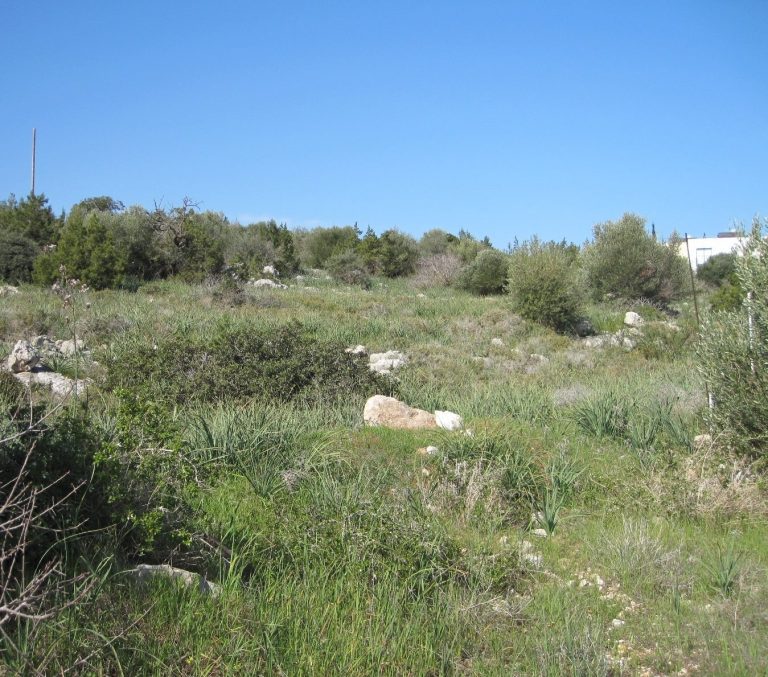 12,291m² Residential Plot for Sale in Neo Chorio Pafou, Paphos District
