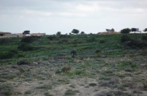 6,689m² Residential Plot for Sale in Pissouri, Limassol District