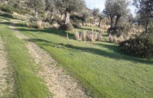 18,785m² Plot for Sale in Pissouri, Limassol District