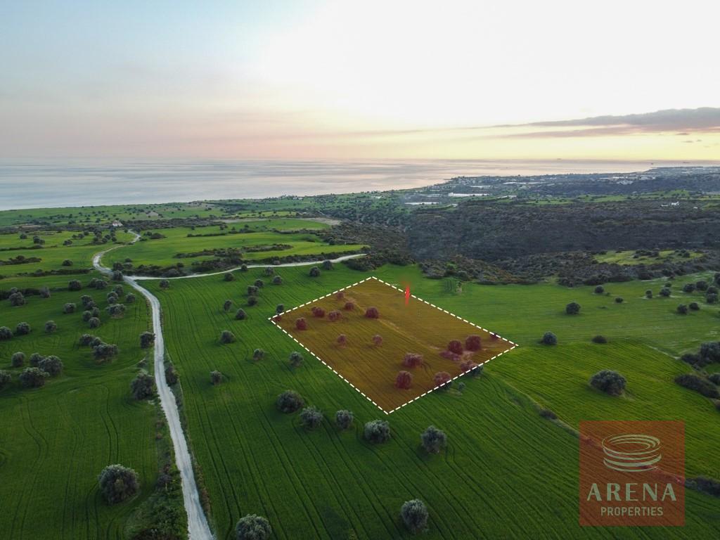 5,352m² Land for Sale in Paphos – Agios Theodoros, Larnaca District