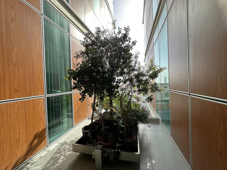 398m² Office for Sale in Limassol – Mesa Geitonia