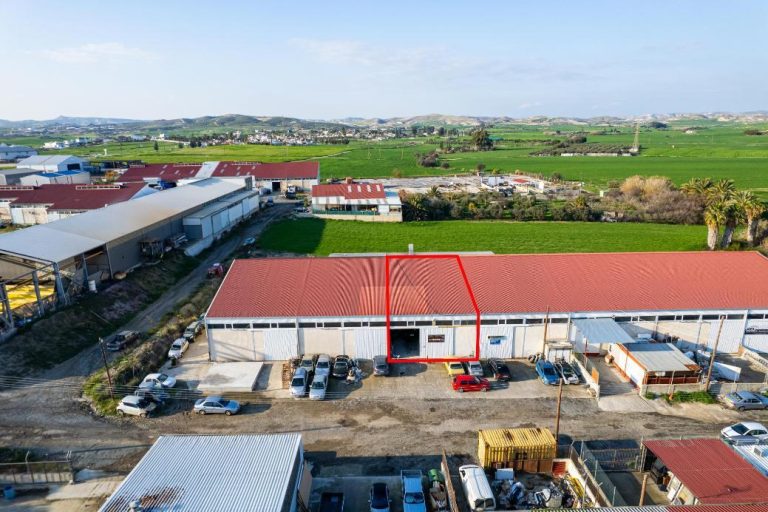 310m² Warehouse for Sale in Livadia Larnakas, Larnaca District