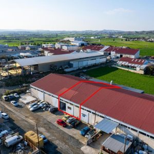 310m² Warehouse for Sale in Livadia Larnakas, Larnaca District