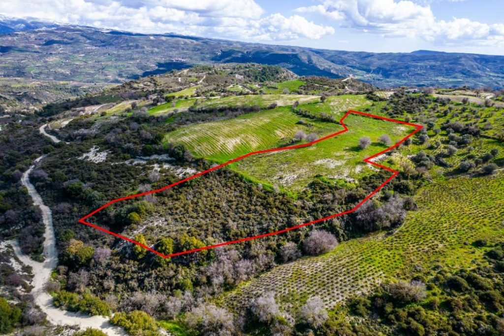 12,041m² Commercial Plot for Sale in Salamiou, Paphos District