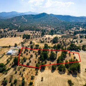 11,680m² Commercial Plot for Sale in Lythrodontas, Nicosia District