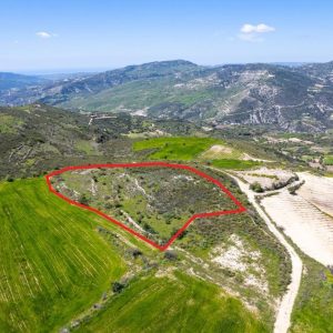 7,024m² Commercial Plot for Sale in Praitori, Paphos District