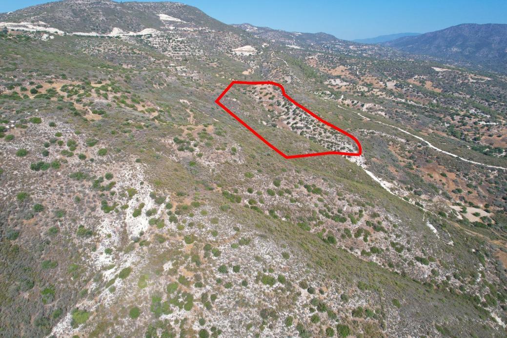 10,368m² Commercial Plot for Sale in Akrounta, Limassol District