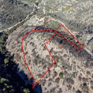 9,700m² Plot for Sale in Mousere, Paphos District