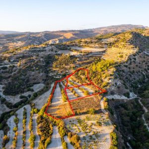 5,352m² Commercial Plot for Sale in Amargeti, Paphos District