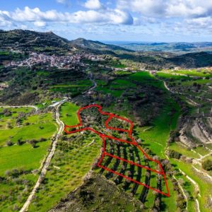 16,545m² Residential Plot for Sale in Dora, Limassol District