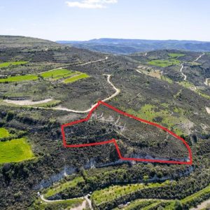 7,358m² Commercial Plot for Sale in Praitori, Paphos District