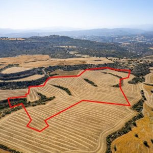 43,479m² Plot for Sale in Choirokoitia, Larnaca District