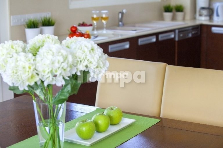 3 Bedroom House for Rent in Protaras, Famagusta District