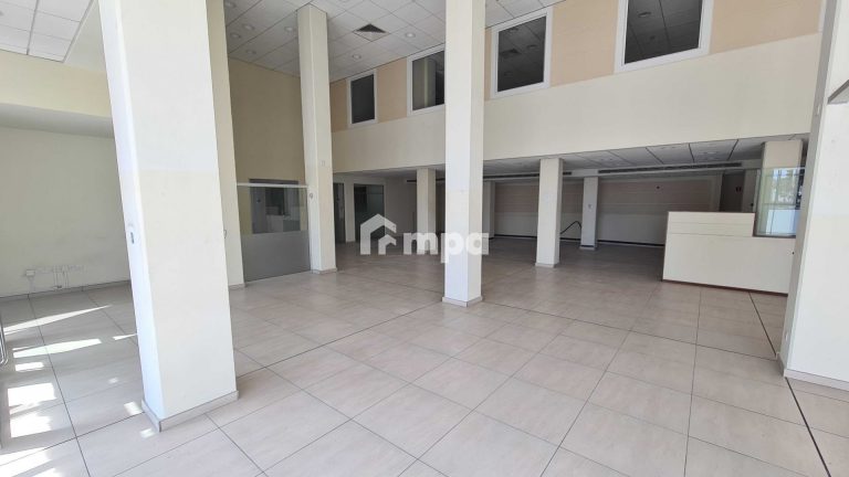 300m² Commercial for Rent in Lakatamia, Nicosia District