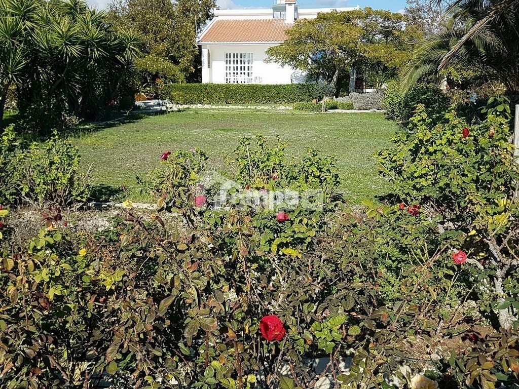 2 Bedroom House for Sale in Zygi, Larnaca District €375000 INDEX.cy