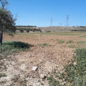 2,304m² Plot for Sale in Agioi Trimithias, Nicosia District