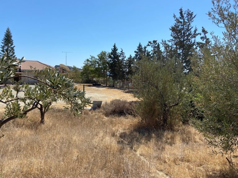 4,540m² Land for Sale in Agios Tychonas, Limassol District