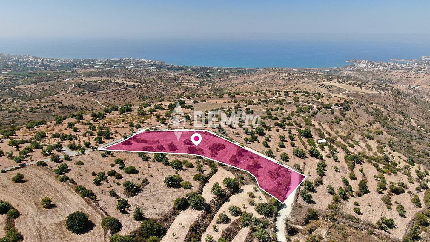 9,895m² Plot for Sale in Koili, Paphos District