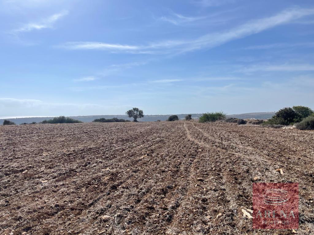 4,683m² Land for Sale in Anafotida, Larnaca District