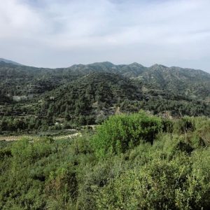 25,284m² Plot for Sale in Agios Mamas, Limassol District