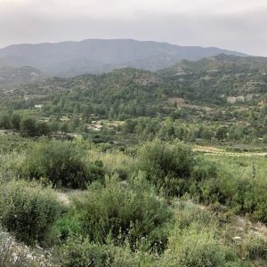 25,284m² Plot for Sale in Trimiklini, Limassol District