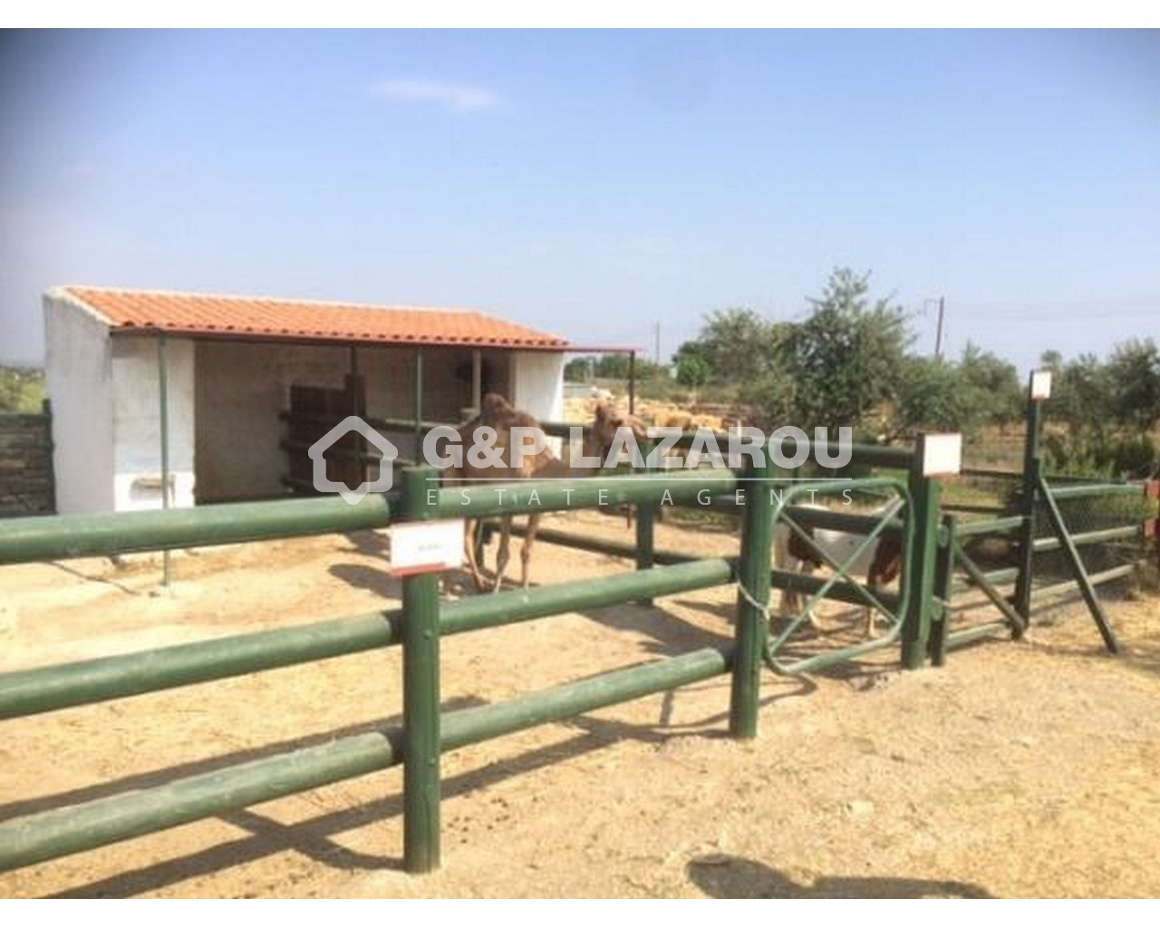 580m² Building for Sale in Anogyra, Limassol District
