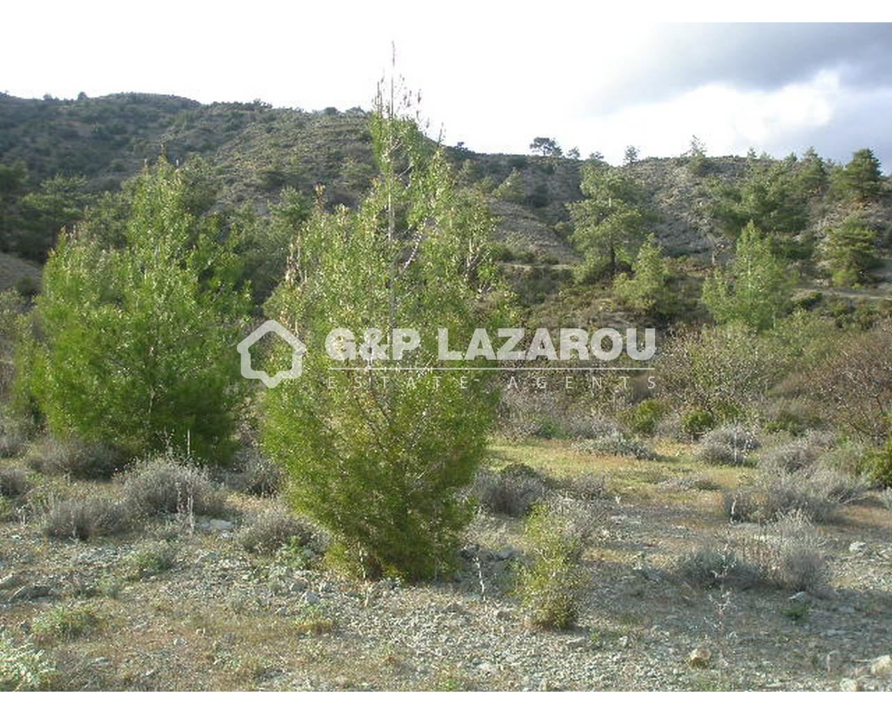 8,282m² Plot for Sale in Kalo Chorio Lemesou, Limassol District