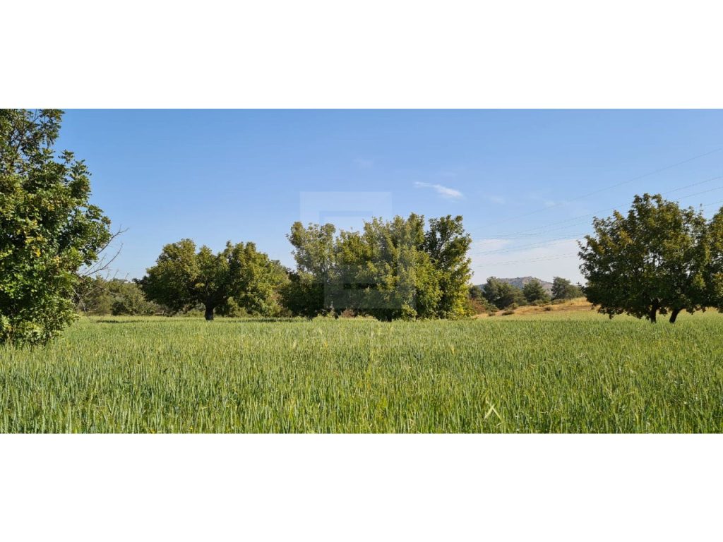 10,700m² Plot for Sale in Kornos, Larnaca District