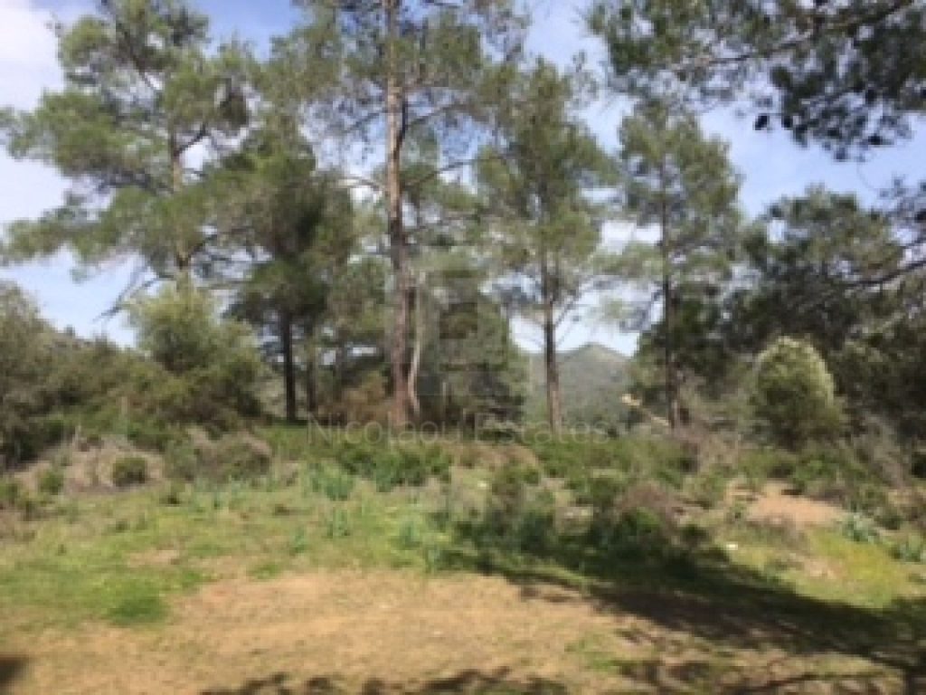 10,233m² Plot for Sale in Lythrodontas, Nicosia District