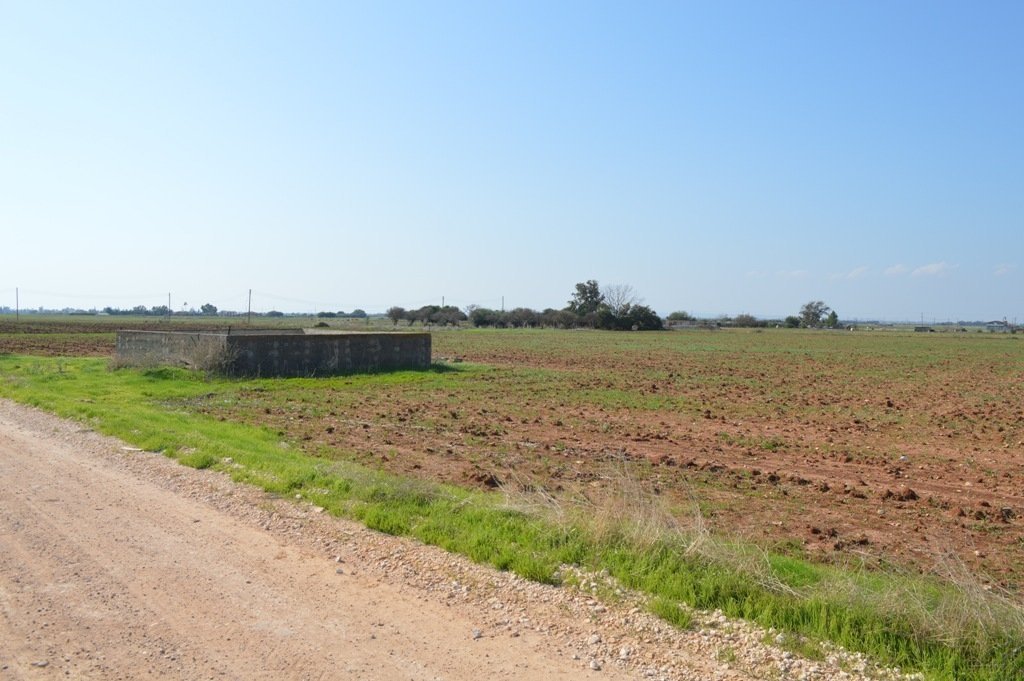 12,199m² Plot for Sale in Avgorou, Famagusta District