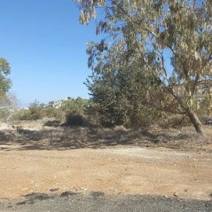 11,956m² Plot for Sale in Protaras, Famagusta District