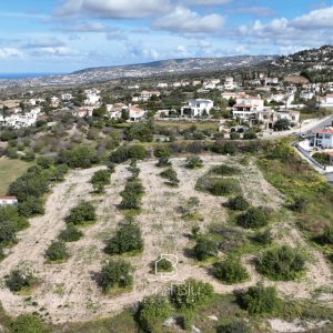 12,375m² Land for Sale in Paphos District