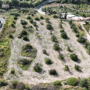 12,375m² Land for Sale in Paphos District