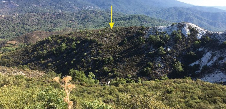 17,392m² Plot for Sale in Mandria, Limassol District