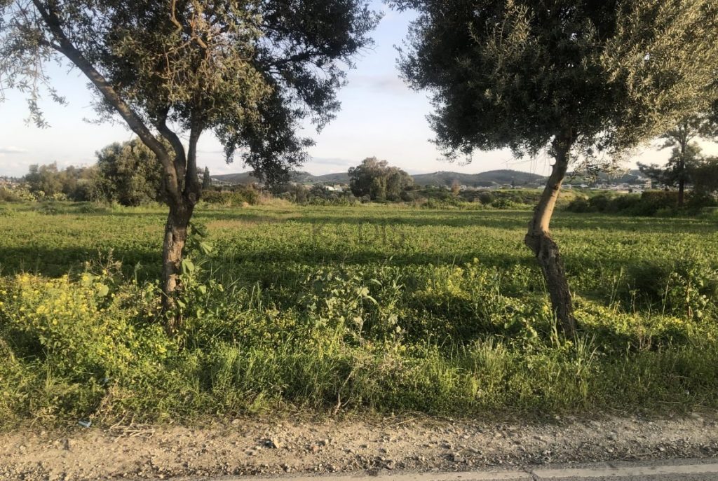 2,973m² Plot for Sale in Dali, Nicosia District