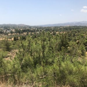 1,684m² Plot for Sale in Mosfiloti, Larnaca District