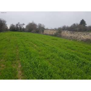 Plot for Sale in Anogyra, Limassol District