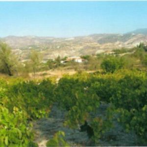 4,348m² Plot for Sale in Laneia, Limassol District