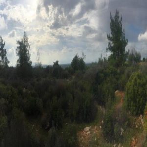 8,362m² Plot for Sale in Souni, Limassol District